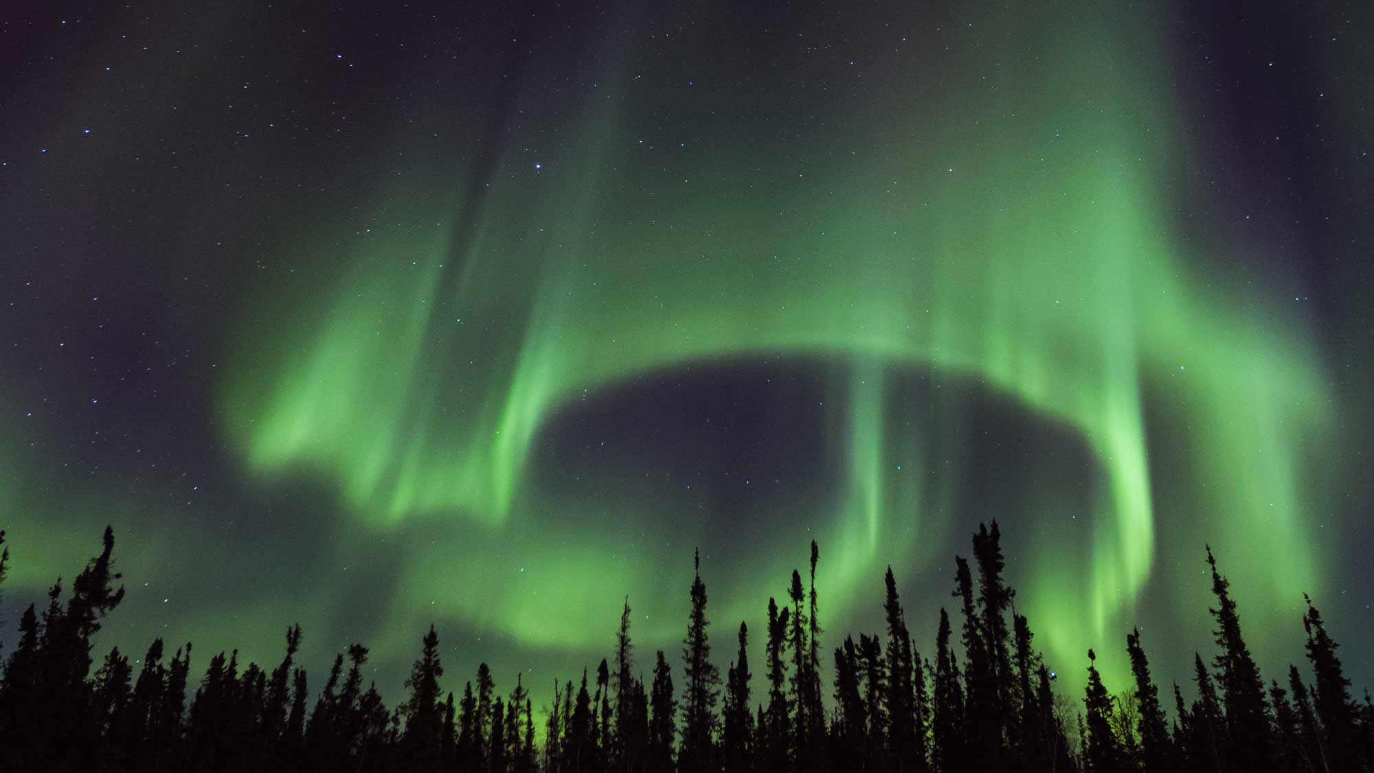 The northern lights dance gently above Yellowknife